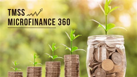 microfin 360|DataSoftMicroFin 360.